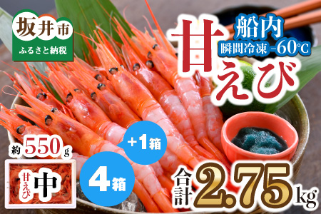 甘えび 約2.75kg 天然・鮮度抜群! 漁船直送! 「共栄丸」 絶品甘海老をお届け![甘海老 甘エビ あまえび アマエビ エビ 刺身 冷凍 産地直送] [C-2303]