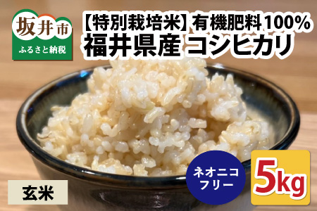 [先行予約][令和6年産・新米][特別栽培米]福井県産 コシヒカリ 5kg 〜化学肥料にたよらない 有機肥料100%〜 ネオニコフリー(玄米)[2024年10月上旬以降順次発送予定] [A-13403_02]