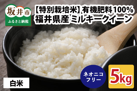 [先行予約][令和6年産・新米][特別栽培米]福井県産 ミルキークイーン 5kg 〜化学肥料にたよらない 有機肥料100%〜 ネオニコフリー(白米)[2024年10月上旬以降順次発送予定] [A-13404_01]