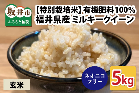 【先行予約】【令和6年産・新米】【特別栽培米】福井県産 ミルキークイーン 5kg ～化学肥料にたよらない 有機肥料100%～ ネオニコフリー（玄米）【2024年10月上旬以降順次発送予定】 [A-13404_02]