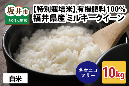 [先行予約][令和6年産・新米][特別栽培米]福井県産 ミルキークイーン 10kg 〜化学肥料にたよらない100%の有機肥料〜 ネオニコフリー(白米)[2024年10月上旬以降順次発送予定] [A-13406_01]