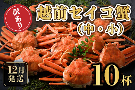 [先行予約] 訳あり≪茹で≫越前セイコ蟹(中・小) 10杯 [2024年12月発送分] [K-1601_12]