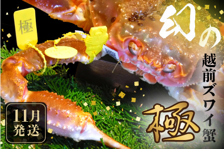 [先行予約]≪茹で≫特上 越前ズワイ蟹 『極』 1杯 ※活状態で1.5kg以上 [11月発送分 各月数量限定][越前ガニ がに ズワイガニ ズワイガニ ずわい ボイルガニ 幻のかに 冬の味覚 特級 高級 丸ごと] [W-1603_11]
