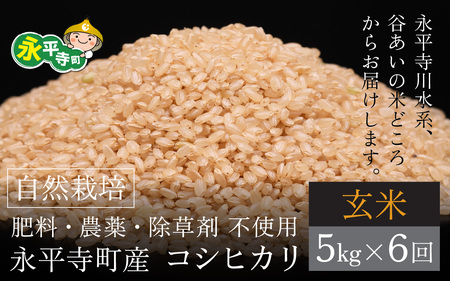 [先行予約][令和6年産 新米][6ヶ月連続お届け]自然栽培米 永平寺町産 コシヒカリ[玄米]5kgx6ヶ月(計30kg)無農薬 化学肥料 除草剤 不使用 福井県 永平寺 定期便