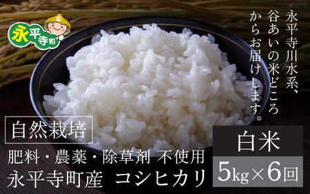 [先行予約][令和6年産 新米][6ヶ月連続お届け]自然栽培米 永平寺町産 コシヒカリ[白米]5kgx6ヶ月(計30kg)無農薬 化学肥料 除草剤 不使用 福井県 永平寺 定期便