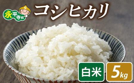 [先行予約]永平寺町飯島産 コシヒカリ [白米]5kg[2025年10月中旬以降順次発送開始予定]/ ふるさと納税 米 5kg 福井県 永平寺町 の おいしい お米 発祥の地 こめ おこめ 白米 精米 国産 限定 ごはん ご飯 白飯 ゴハン あまみ ふるさと ランキング 人気 おすすめ 送料無料 産地直送 農家直送 福井県 永平寺 国産米 [B-074001]