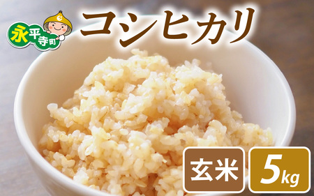 [先行予約]永平寺町飯島産 コシヒカリ [玄米]5kg[2025年10月中旬以降順次発送開始予定]/ふるさと納税 米 5kg 福井県 永平寺町 の おいしい お米 発祥の地 こめ おこめ 白米 精米 国産 限定 ごはん ご飯 白飯 ゴハン 玄米 ふるさと ランキング 人気 おすすめ 送料無料 産地直送 農家直送 福井県 永平寺 国産米 [B-074002]