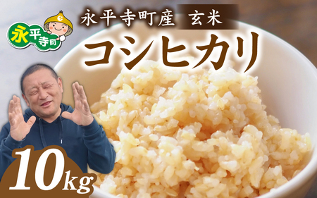[先行予約]永平寺町飯島産 コシヒカリ [玄米]10kg [2025年10月中旬以降順次発送予定]/ 玄米 ふるさと納税 米 10kg 福井県 永平寺町 の おいしい お米 発祥の地 こめ おこめ 白米 精米 国産 限定 ごはん ご飯 白飯 ゴハン ふるさと ランキング 人気 おすすめ 送料無料 産地直送 農家直送 福井県 永平寺 国産米[C-074002]