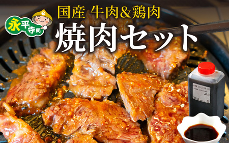 焼肉 BBQ セット 牛ハラミ ホルモン 若鳥 親鳥 [C-019003]