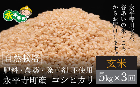ys\zߘaVNY V 3 R͔| iY RVqJ  5kgx3 v15kg  11{z\ Еz _ w엿  sgp 䌧 i 