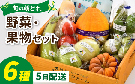 朝どれ 旬な野菜 果物セット 6種類セット[お届け対象月 5月] 農薬・化学肥料不使用
