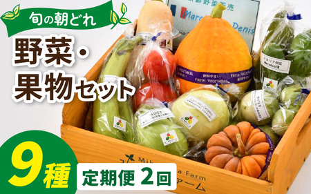 [定期便2回]朝どれ 旬な野菜 果物セット 9種類セット[お届け対象月 5月,8月,11月]農薬・化学肥料不使用