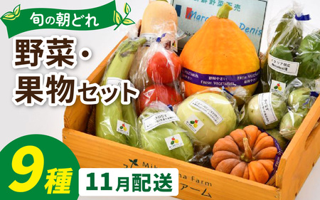 朝どれ 旬な野菜 果物セット9種類セット[お届け対象月 11月]農薬・化学肥料不使用