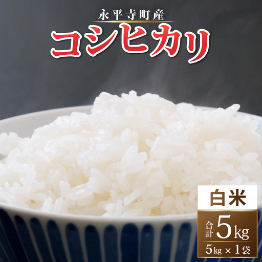 [令和8年度産 新米 先行予約][白米]永平寺町産 コシヒカリ 白米 5kg こめ ごはん 精米 ご飯 お試し 白米 こしひかり