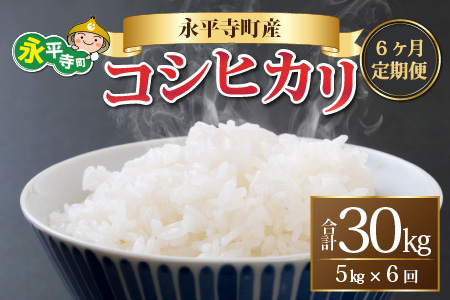 ys\z6  ߘa7NxY iY RVqJ 5kg×6 v30kg 10{菇 TL 5kg     R  Ђ 