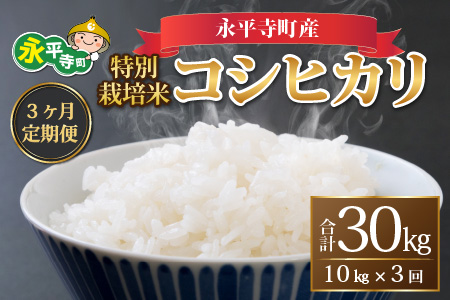 [先行予約]3ヶ月定期便 白米 令和7年度産 永平寺町産 農薬不使用・化学肥料不使用 特別栽培米 コシヒカリ 10kg×3ヶ月 計30kg 10月上旬より順次発送開始 10キロ 10kg 米 米 お米 コメ 送料無料 こしひかり 福井
