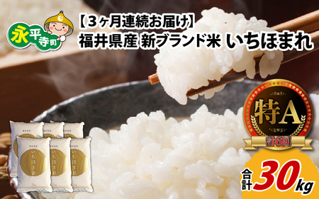 �y3�����A�����͂��z�ߘa7�N�x�Y ���䌧�Y�V�u�����h�� �����ق܂� 10kg�i5kg×2�܁j×3�����i�v30kg�j[F-002003]