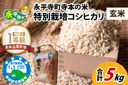 令和5年産 無農薬・化学肥料不使用 永平寺町寺本の米 特別栽培コシヒカリ 玄米 5kg [B-027009]