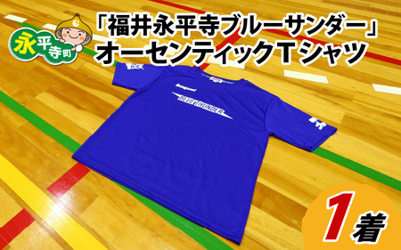 ハンドボールチーム「福井永平寺ブルーサンダー」オーセンティックTシャツ[B-043001]