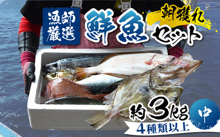 [朝獲り]漁師厳選 鮮魚セット (中) 4種類以上 約3kg [D-018001]