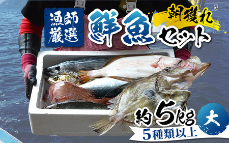 [朝獲り]漁師厳選 鮮魚セット (大) 5種類以上 約5kg [E-018001]