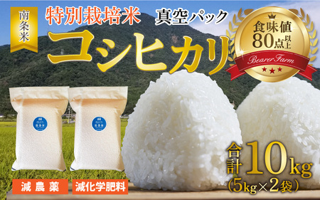 [先行予約][令和6年産新米]南条米 特別栽培米コシヒカリ 真空パック 10kg(5kg×2袋)[2024年10月上旬から順次発送][C-011001]