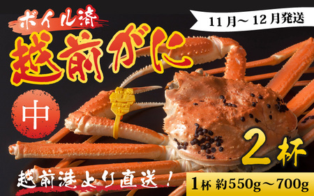 [先行予約]越前港より直送! 越前がに 中 (約550g〜700g) 2杯 [11月7日〜12月29日順次発送予定]