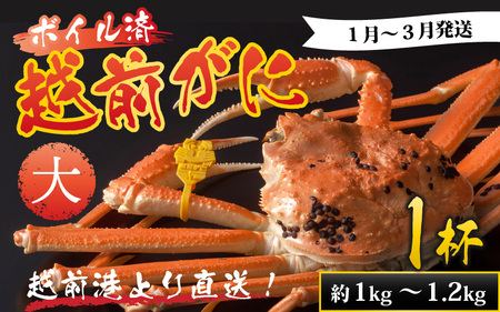 ys\zzO`蒼I zO  (1kg`1.2kg) 1t OɍݑmF̓dbA܂!y1`3z  CN  {C