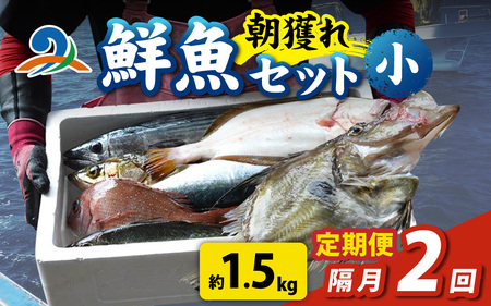 [定期便 隔月2回][朝獲り]漁師厳選 鮮魚セット (小) 3種類以上 約1.5kg 