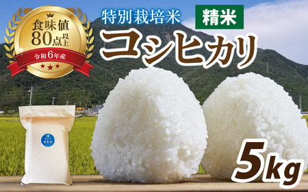 [先行予約][令和7年産新米]南条米 特別栽培米コシヒカリ 真空パック 精米 5kg [B-011005]