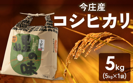 [先行予約][令和7年産 新米]朝夕の寒暖差が生む極旨のお米 今庄産 コシヒカリ 5kg [11月より順次発送予定] こしひかり