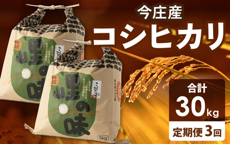 [先行予約][令和7年産 新米][3ヶ月定期便]朝夕の寒暖差が生む極旨のお米 今庄産 コシヒカリ 5kg×2袋×3ヶ月(計30kg) [11月より順次発送予定] こしひかり
