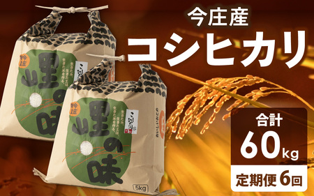 [6ヶ月定期便]新米 令和7年産 白米コシヒカリ 定期便 10kg[11月から出荷開始]計60kg 頒布会 こしひかり 今庄産 南越前町 福井