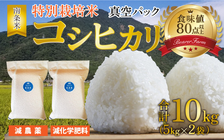 [令和5年産]南条米 特別栽培米コシヒカリ 真空パック 10kg(5kg×2袋)[B-011003]