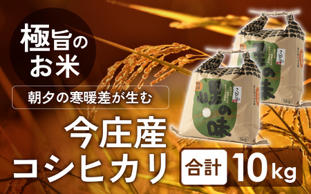 [先行予約][令和7年産 新米]朝夕の寒暖差が生む極旨のお米 今庄産 コシヒカリ 10kg(5kg×2) [11月より順次発送] こしひかり
