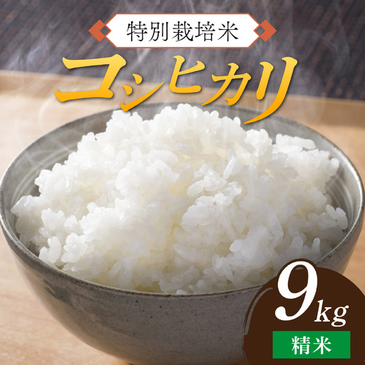 [ 先行予約 ] 令和8年産 特別栽培米 コシヒカリ 精米 9kg [2026年10月末より順次発送開始予定]米