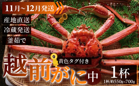 ys\zzO  (550g`700g)×1ty11`12z {C 