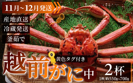 ys\zzO  (550g`700g)×2ty11`12z {C 