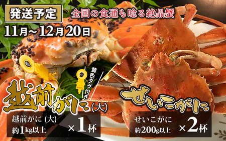 [先行予約]越前がに 大 (1kg以上) 1杯 ・せいこがに 2杯[2024年11月〜12月20日発送予定]