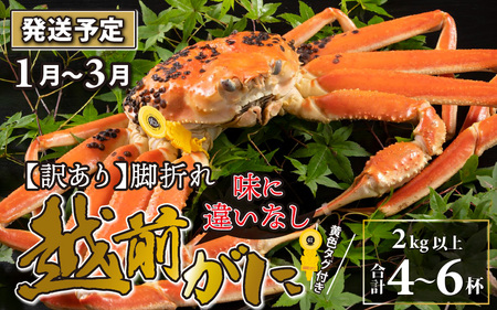 [先行予約][訳あり]越前がに 4〜6杯 (合計2kg以上) 脚折れ[2025年1月〜3月発送予定]