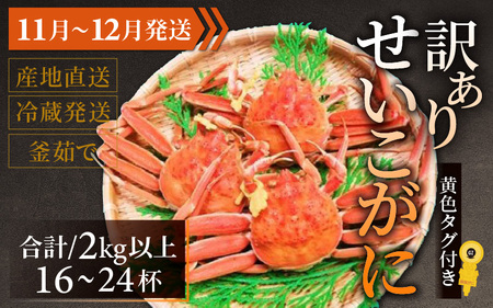 [先行予約][訳あり] せいこがに 合計2kg以上(16〜24杯)[11月〜12月発送]