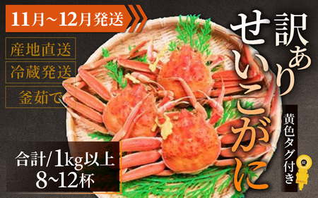 [先行予約][訳あり] せいこがに 合計1kg以上(8〜12杯)[11月〜12月発送]