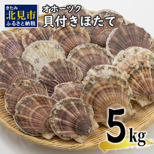 【予約：2025年3月下旬から順次発送】オホーツク貝付きほたて 5kg(30枚～50枚)( 海鮮 魚介 魚介類 貝 貝類 ホタテ ほたて 帆立 殻付き 貝柱 贈答 ギフト 贈り物 お中元 お祝い BBQ バーベキュー )【031-0011-2025】