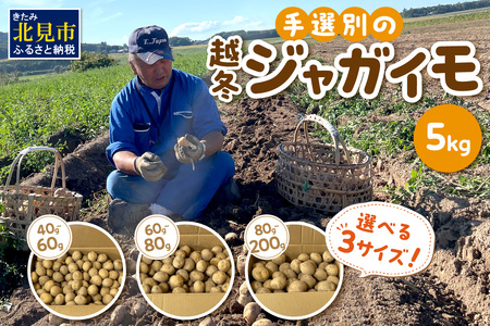 y\F2026N2{珇zyIׂ3TCYzF삳̎EAIʂ̉z~WKC 5kg (   Iׂ )y167-0003-2026z