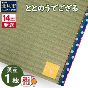 [14営業日以内に発送]ととのうでござる 茣蓙 ゴザ 1枚 ( 畳 ござ サウナ サウナマット い草 一人用 コンパクト )[174-0001]