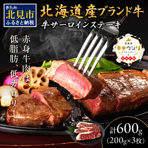 キタウシリ 牛サーロインステーキ 200g×3枚 ( 牛肉 サーロインステーキ 肉 ステーキ 赤身肉 ニク にく 北海道 国産牛 北見市 ブランド牛 赤身 ヘルシー 数量限定 )[173-0006]