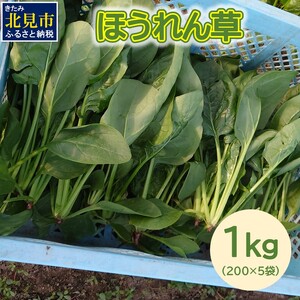 [予約:2025年6月中旬から順次発送]北海道北見産 朝採れ ほうれん草 1kg 200g×5袋 ( 新鮮 採れたて ホウレンソウ ほうれんそう ハウス栽培 )[164-0008]