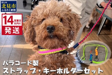 [14営業日以内に発送]パラコード製 ストラップ1個 キーホルダー2個 3点セット ( ペット 犬 小物 わんこ 手作り )[195-0001]