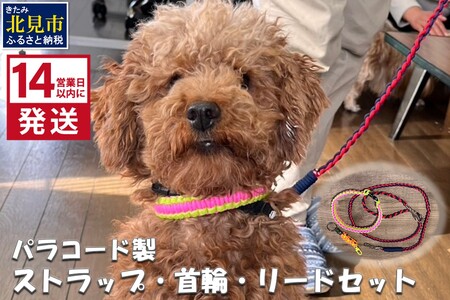 [14営業日以内に発送]パラコード製 ストラップ 1個 小型犬用首輪 1個 小型犬用リード1本 3点セット ( ペット 犬 小物 わんこ 手作り 首輪 リード )[195-0002]