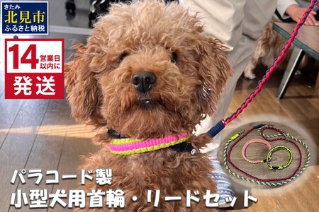 《14営業日以内に発送》小型犬用首輪 2個 リード 2本 4点セット ( ペット 犬 小物 わんこ 手作り 首輪 リード )【195-0003】